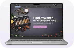 Nosik — сайт-магазин
